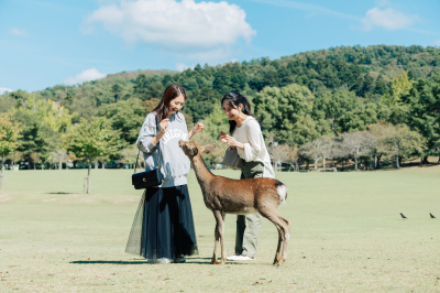 Nara for first-timers - a thorough guide to Nara City, from history, highlights, and the popular, to hidden gems! Recommended sightseeing spots, gourmet food, access information, and more.