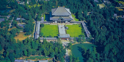 All About the Great Buddha