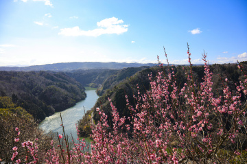 Drive from Osaka! Itinerary for 2 days and 1 night to visit the ume (plum) grove in Tsukigase, Nara