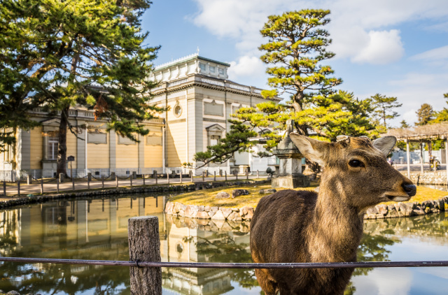 Nara National Museum