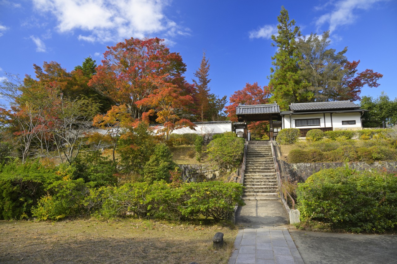 芳徳寺