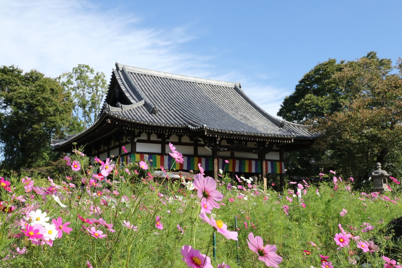 般若寺