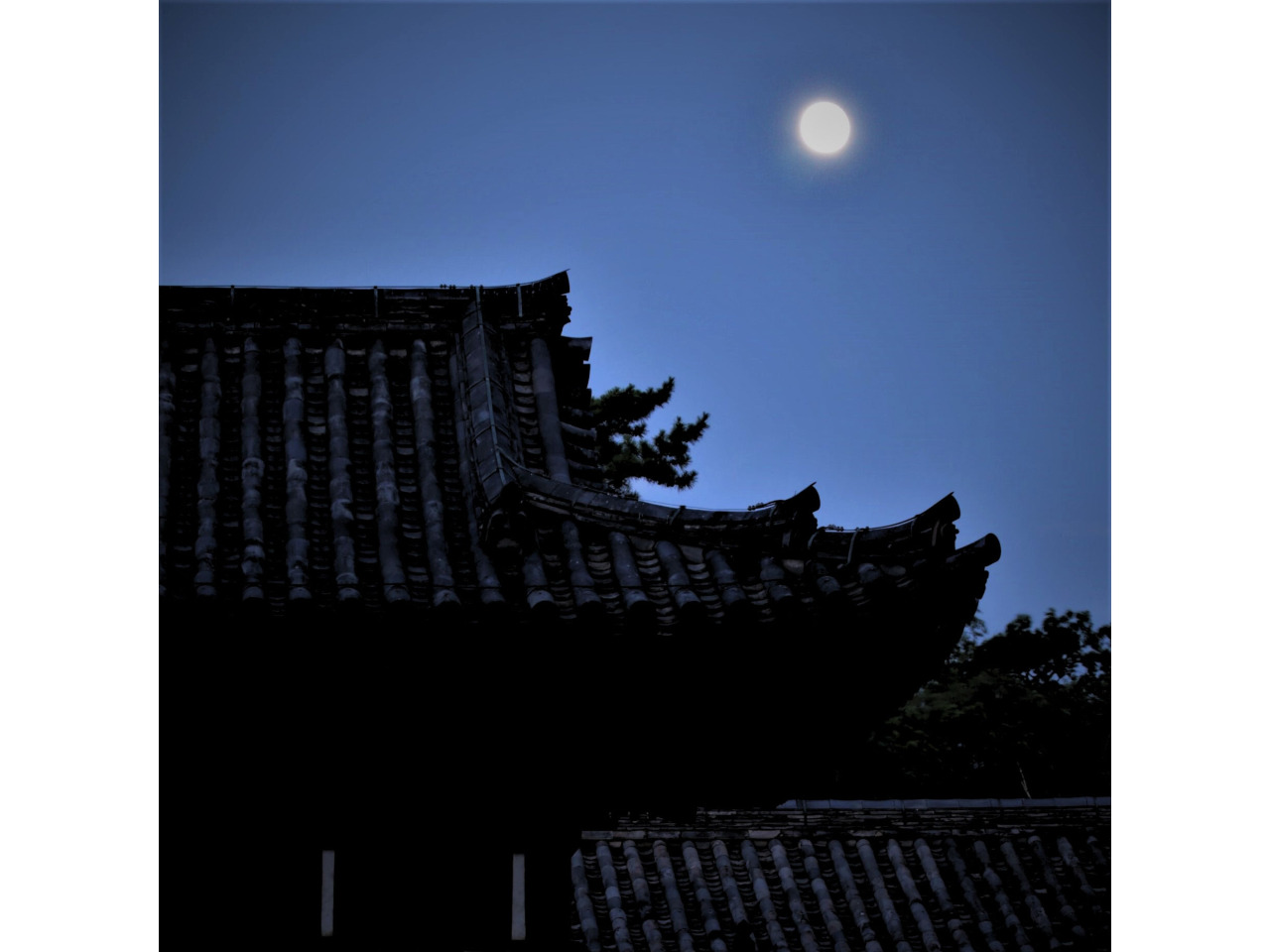 鑑真大和上と月を愛でる。観月讃仏会/唐招提寺