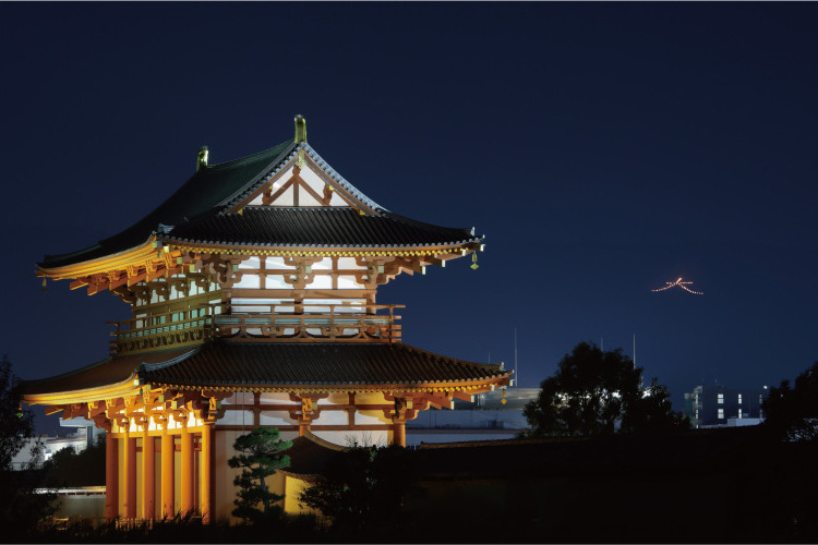 奈良大文字送り火 / 飛火野・高円山