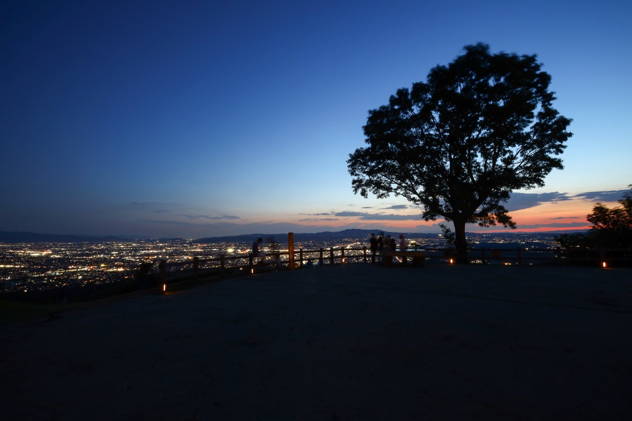 若草山山頂の夕景から夜景を楽しめるバス/奈良若草山トワイライト・夜景観賞バス【夏】